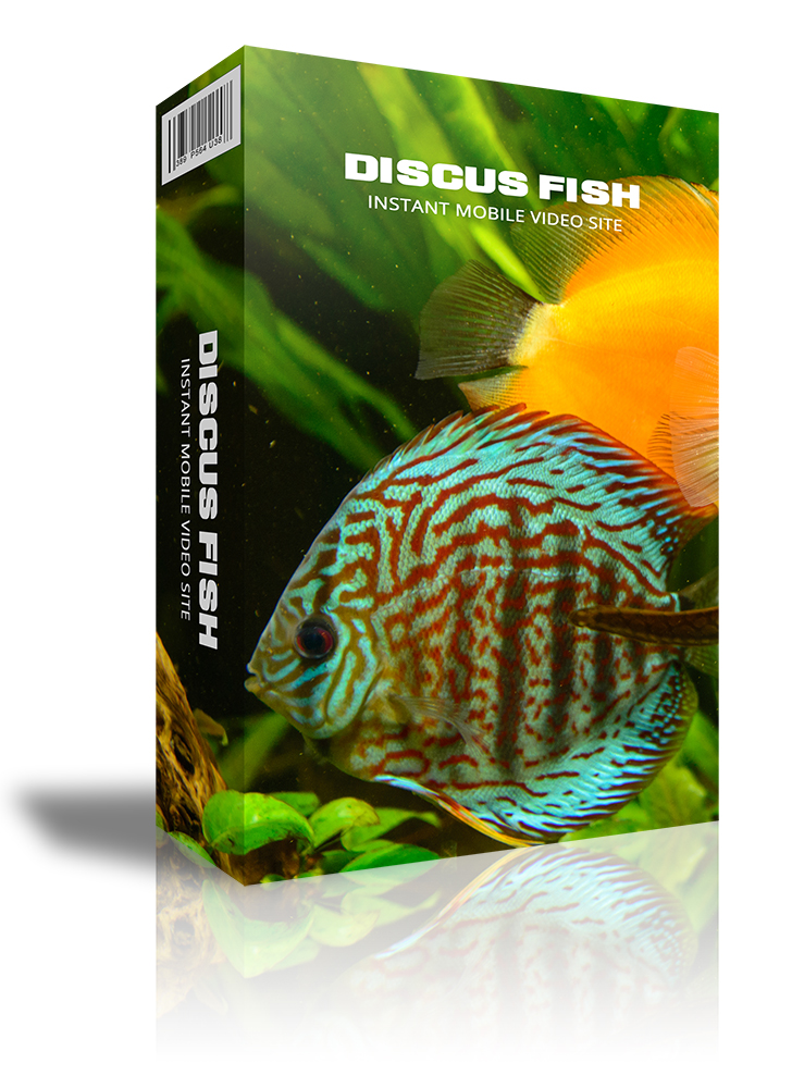 Discus Fish Instant Mobile Video Site